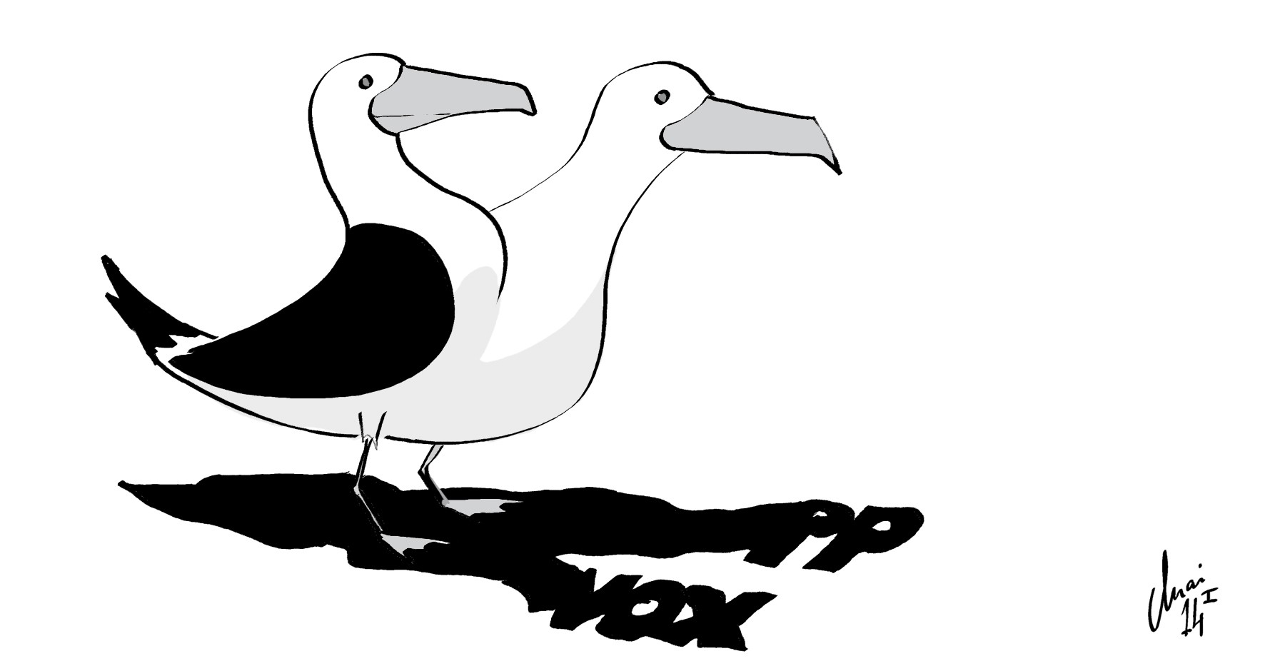 PP-VOX