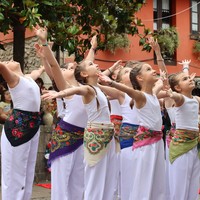 San Martin jaiak: domeka