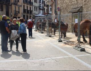 San Isidro azoka ospatuko dute zapatuan, ganadua kalera jaisteko urteroko zita