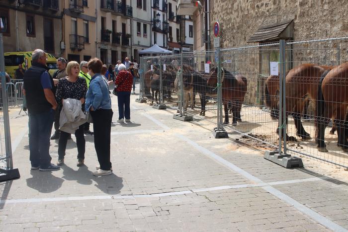 San Isidro azoka ospatuko dute zapatuan, ganadua kalera jaisteko urteroko zita