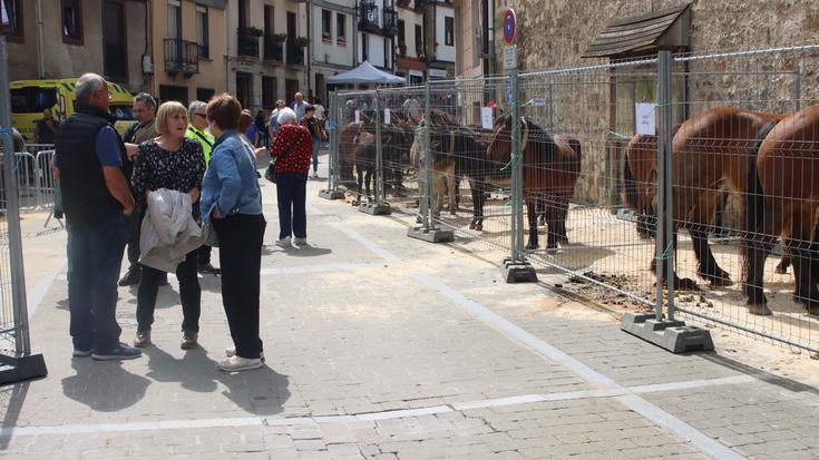 San Isidro azoka ospatuko dute zapatuan, ganadua kalera jaisteko urteroko zita