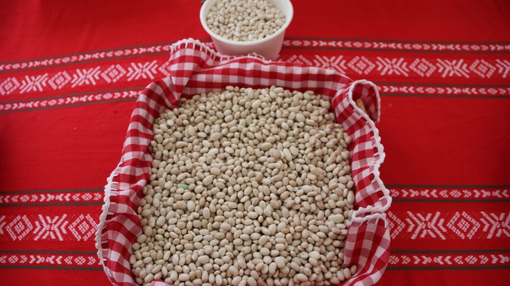 Albistegia: 2025-11-12