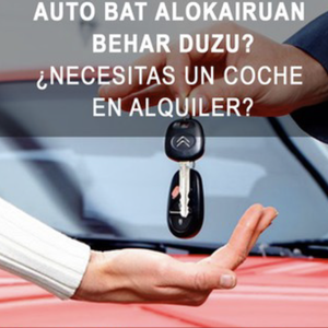 Auto bat alokairuan behar duzu?