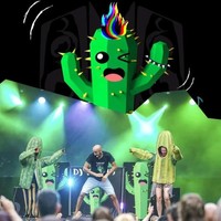 DJ Kaktus musika ikuskizuna