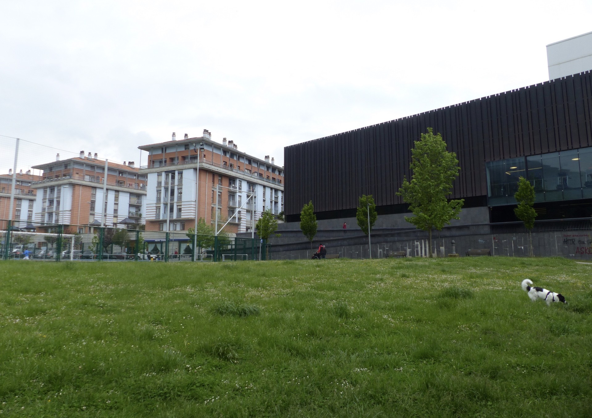 Berdegunean zer egin erabakitzen hastear dira