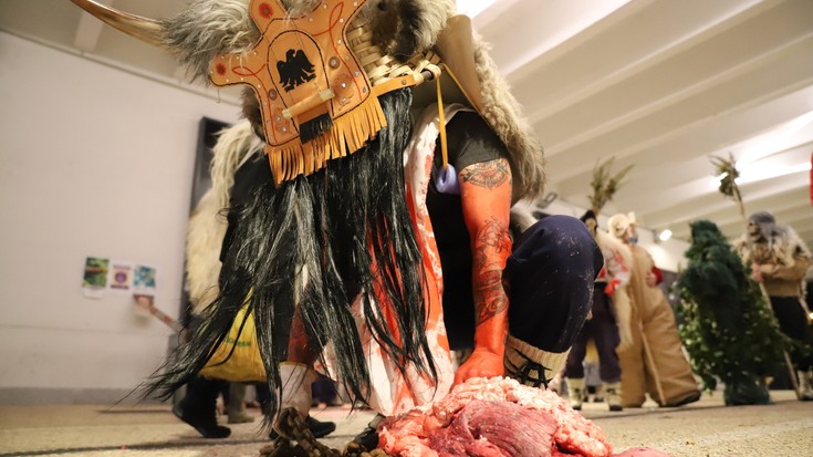 Eguraldi makurrak ez ditu makurtu kukumarru eta txorimaloak