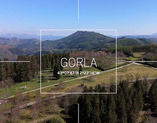 Goitik begira: Gorla