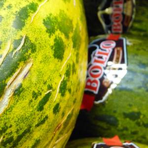Fruta mota ezberdinak