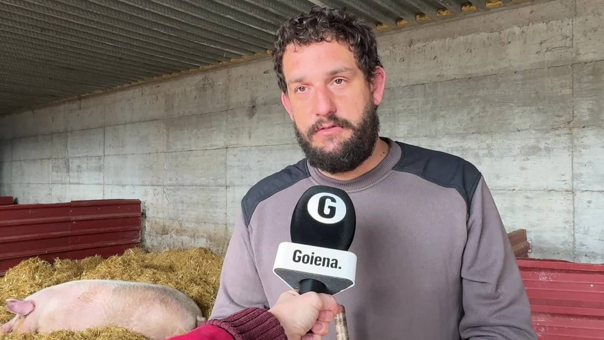 Elgetan hazitako 'Poxpolin' txerria izango da San Tomas azokako protagonista aurten