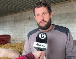 Elgetan hazitako 'Poxpolin' txerria izango da San Tomas azokako protagonista aurten