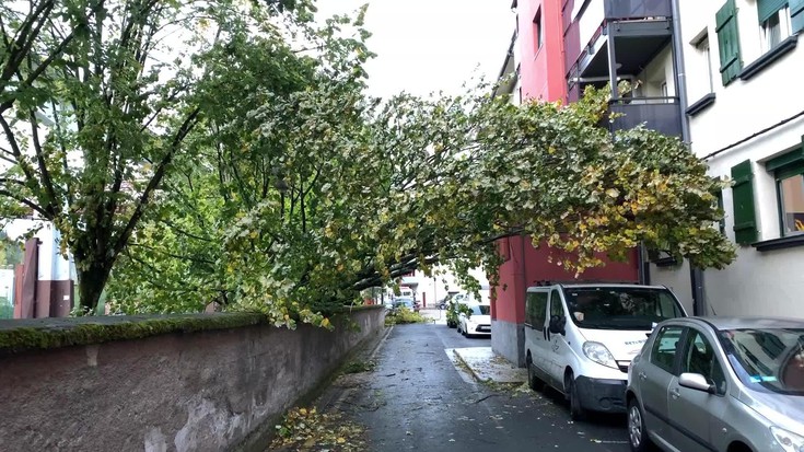 Labegaraietako bidegorrian eta hilerrian kalteak eragin ditu haizeak