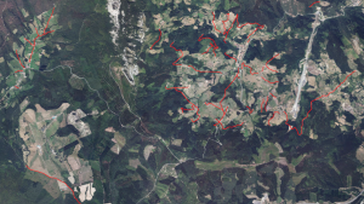 Forestales Mugarri enpresak dihardu bideetako sastrakak garbitzen