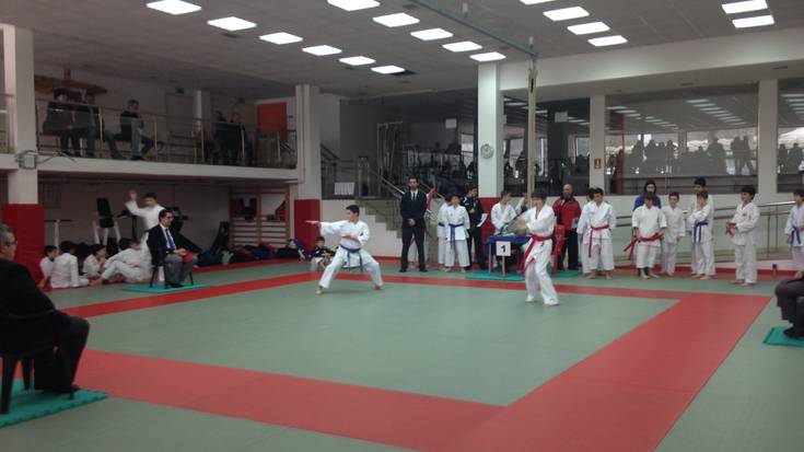 Saioa Karate Taldeko gazteek lau domina lortu dituzte Gipuzkoako Txapelketan