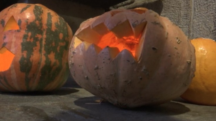 Albistegia: 2025-10-31