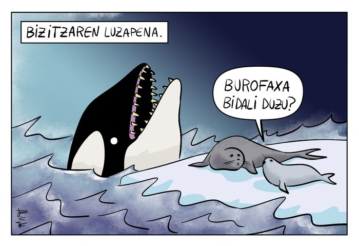 Bizitzaren luzapena