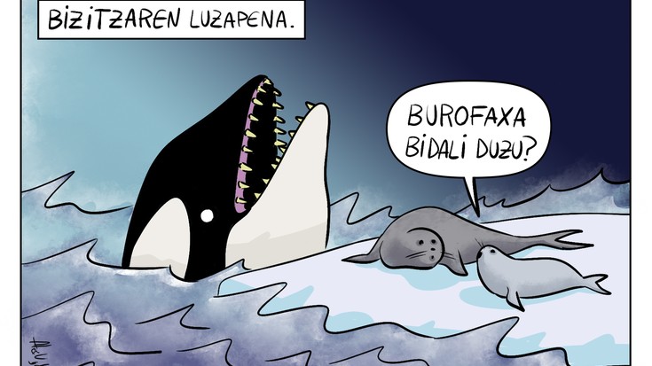 Bizitzaren luzapena
