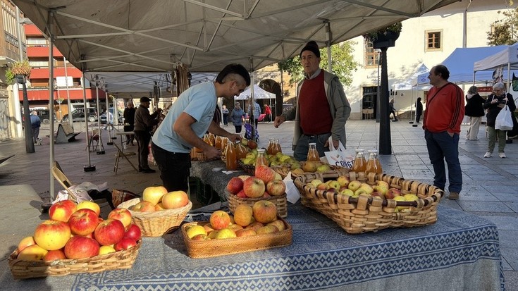 Sagarrarekin egindako produktuak dastatuko dituzte zapatuan