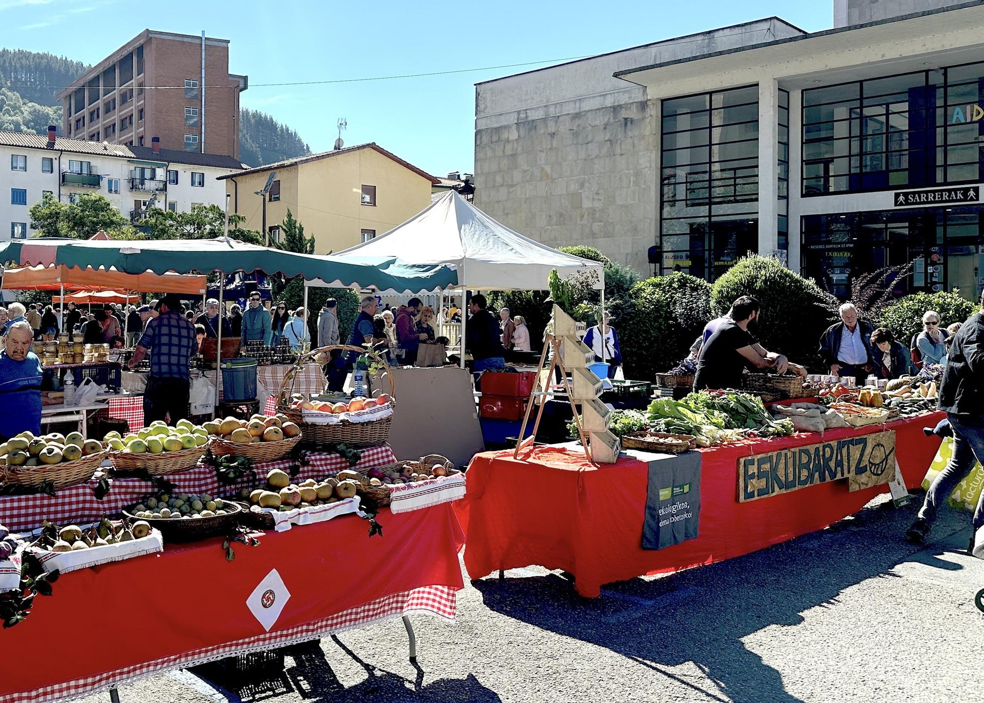 Zapore berezidun feriatik hasita, sanmartinetarako gertu