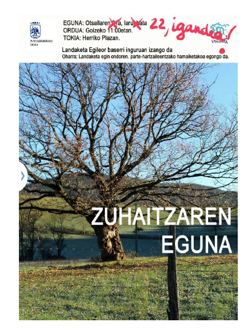 Zuhaitz Eguna
