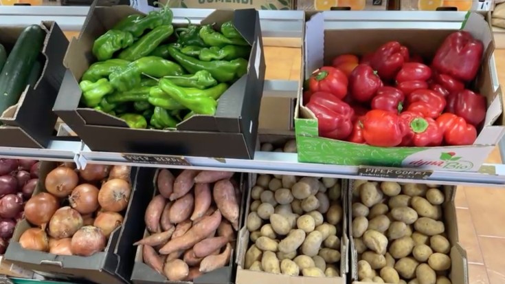 Albistegia: 2026-01-19