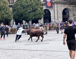 Mozorrotuta ibili dira sokamuturrean bat baino gehiago