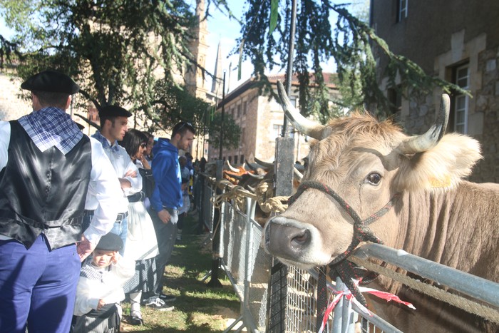 Goizetik hasita, kalean egoteko da Herri Eguna