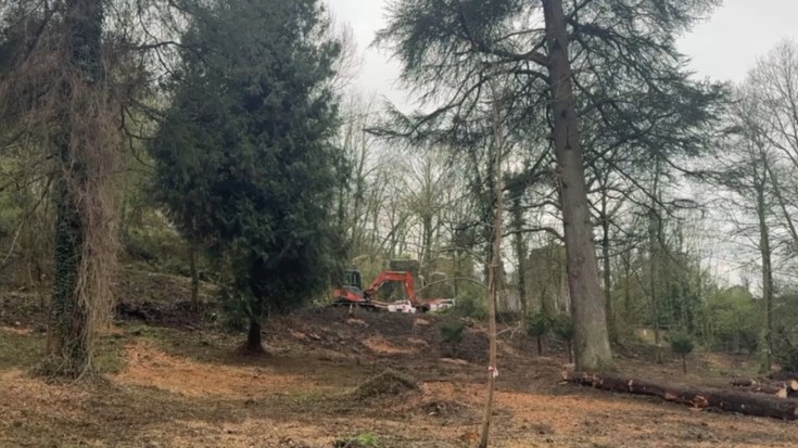 Albistegia: 2026-03-13