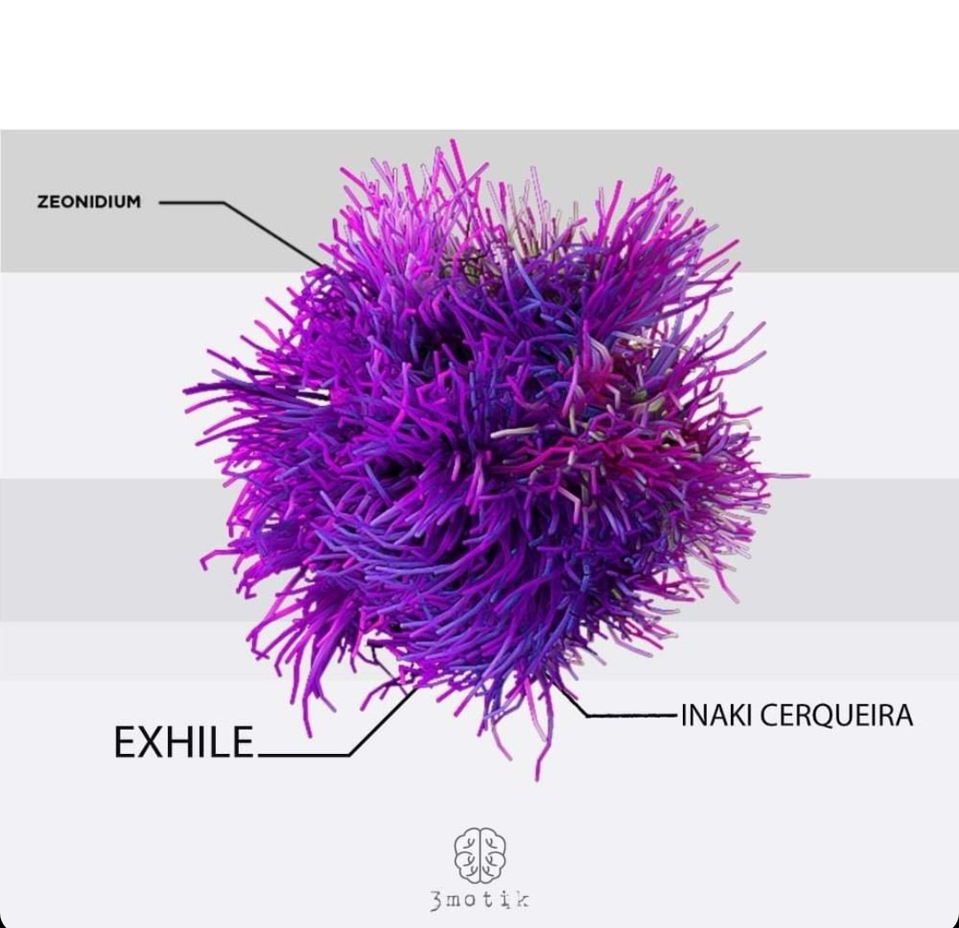 Exhile & Inaki Cerqueira DJ eta produktore oñatiarrak single berria kaleratu du