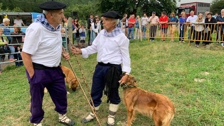 Gipuzkoak artzain txakur lehiaketa, argazkitan