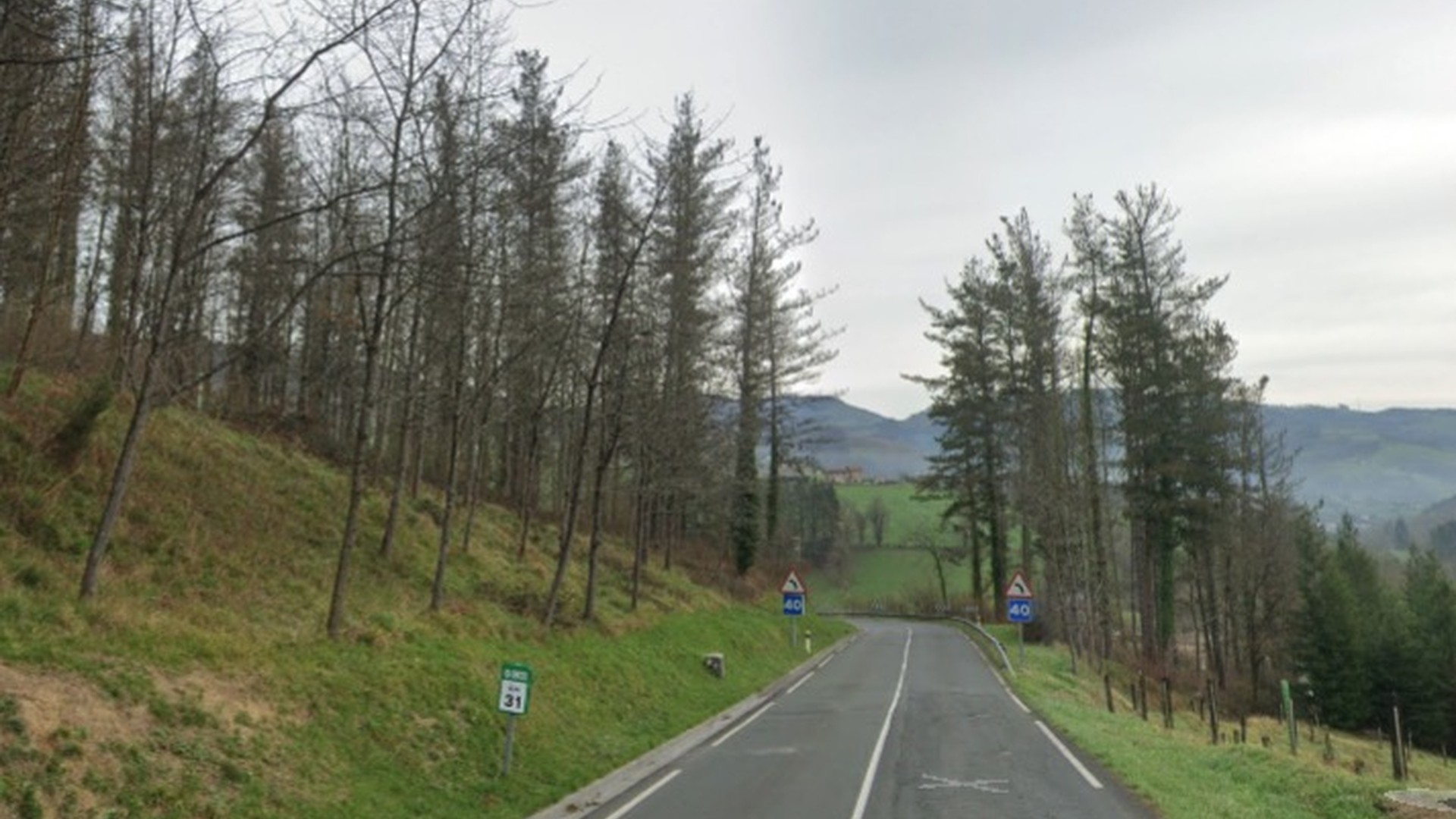 Auto istripua Bergara eta Elgeta arteko errepidean; ibilgailu batek bi asto jo ditu