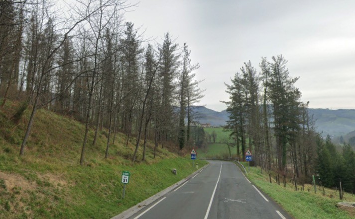 Auto istripua Bergara eta Elgeta arteko errepidean; ibilgailu batek bi asto jo ditu