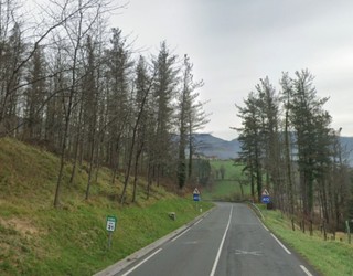 Auto istripua Bergara eta Elgeta arteko errepidean; ibilgailu batek bi asto jo ditu