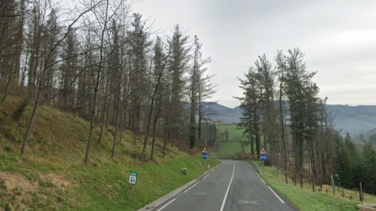 Auto istripua Bergara eta Elgeta arteko errepidean; ibilgailu batek bi asto jo ditu