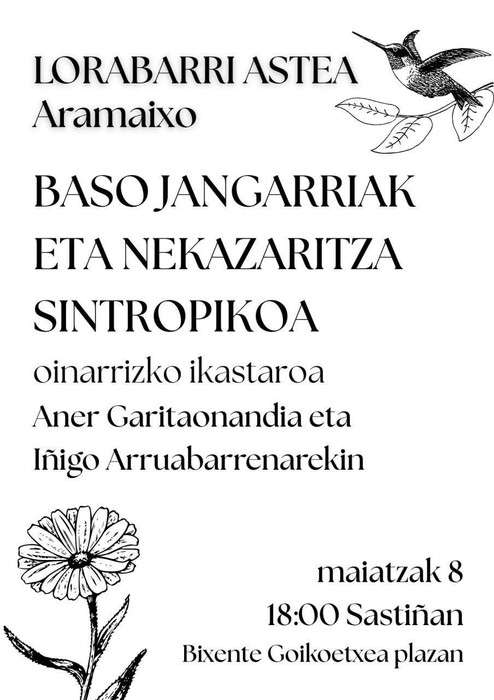 Lorabarri astea: ikastaroa