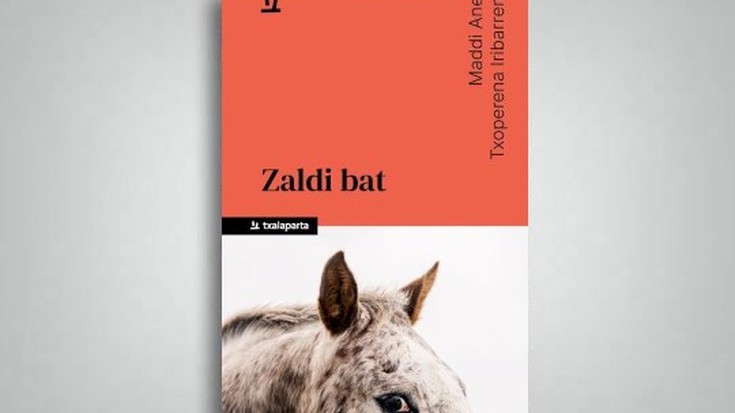 KIT: 'Zaldi bat'