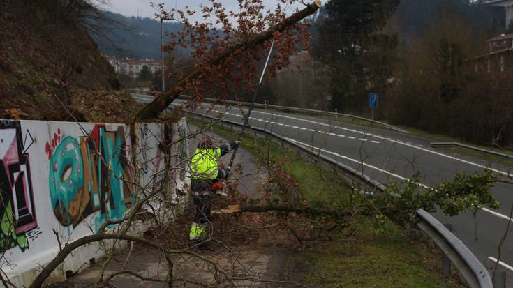 Gauean lur-jausi txiki bat gertatu da Eskoriatzako bidegorrian, urtarrileko leku berean