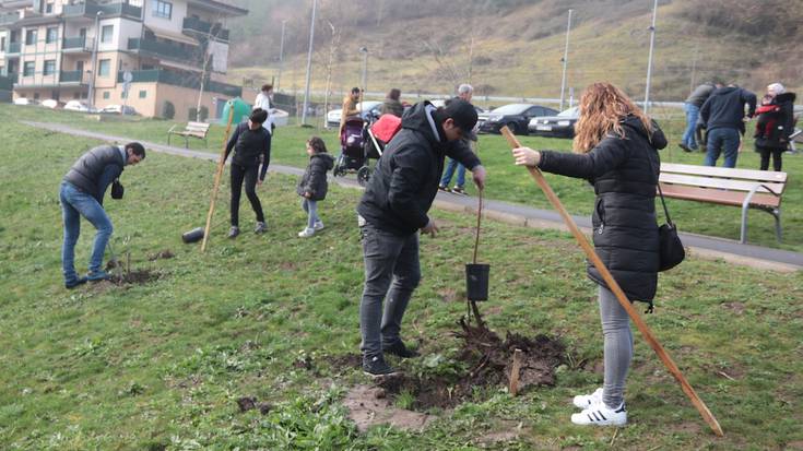 Zuhaitz egunean, urkiak landatu dituzte Elorretan