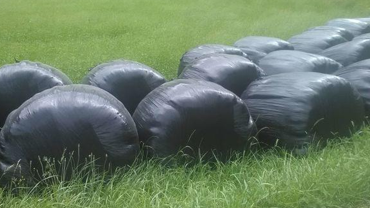 Nekazaritza erabilerako plastikoa txukun uzteko bilketa guneetan eskatu dute