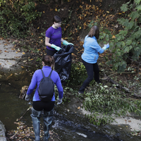 Auzolanaren gaineko bilera