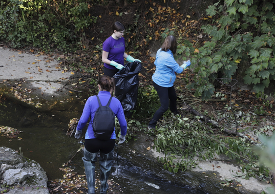 Auzolanaren gaineko bilera