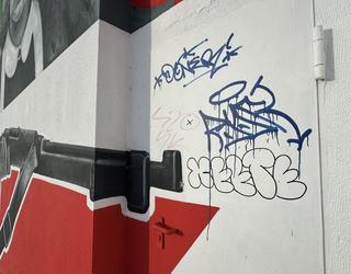Grafitiak erresistenteen horma-irudian