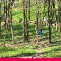 Hitzaldia: 'Piñu radiataren gainbeheratik bertako basoetara'