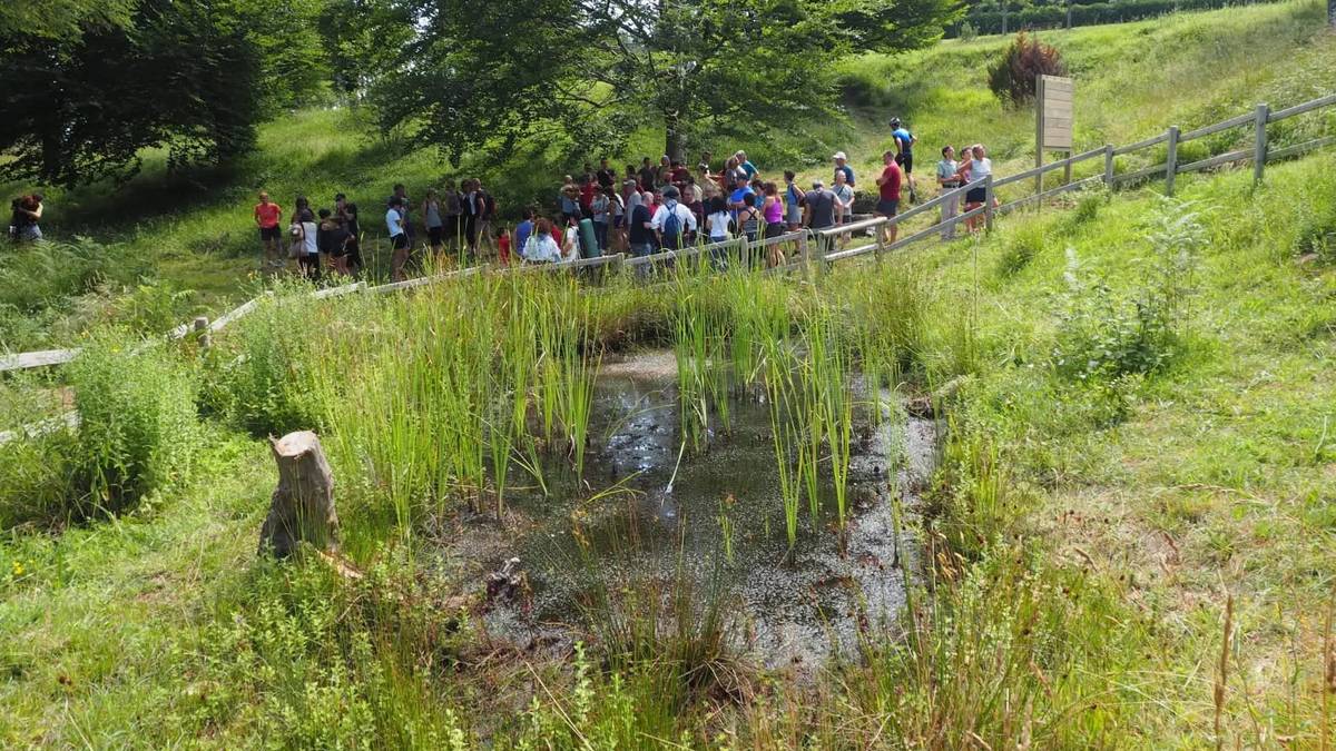 Auzolanean egindako istingak Bergaran, bioaniztasunaren alde