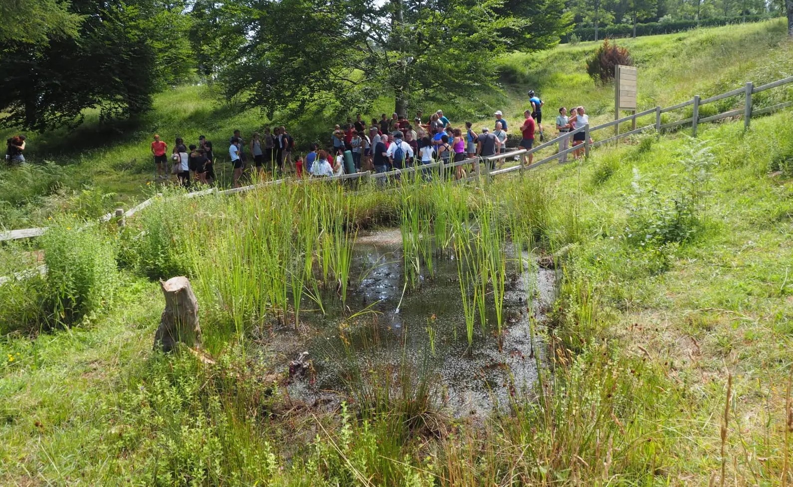 Auzolanean egindako istingak Bergaran, bioaniztasunaren alde
