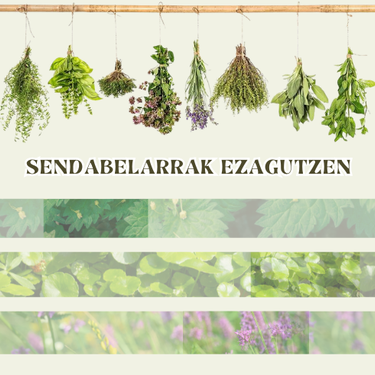 Sendabelarrak ezagutzen