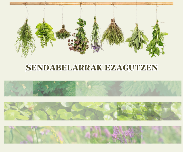 Sendabelarrak ezagutzen