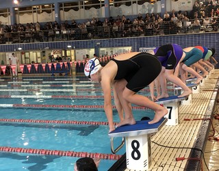 Alebin mailako igeriketa txapelketa egingo dute bihar Agorrosinen