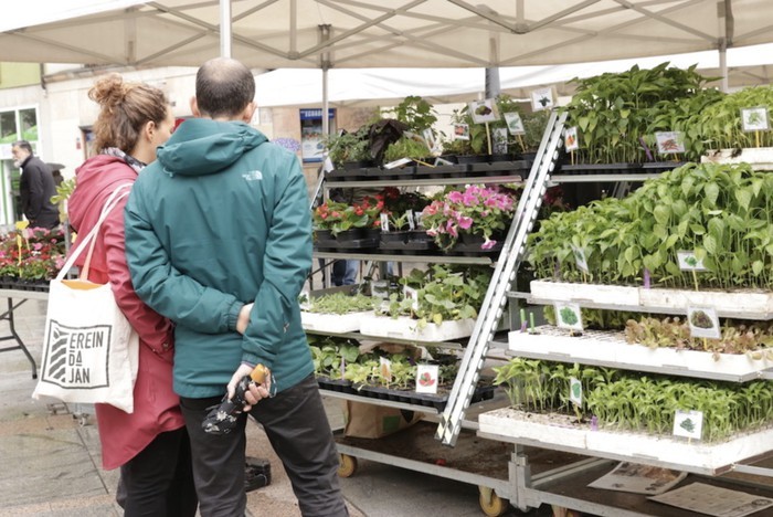Loreak eta ortuko landareak izango dira berezitasun bertako produktuen azokan