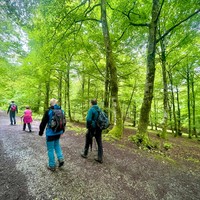 GATZ EGUNA 2025. Mendi irteera: PR-Gi-37 Hiruerreketa. Ezagutu non jaiotzen den Deba Ibaia.