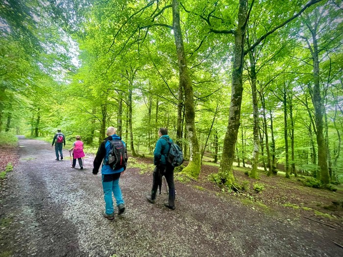 GATZ EGUNA 2025. Mendi irteera: PR-Gi-37 Hiruerreketa. Ezagutu non jaiotzen den Deba Ibaia.